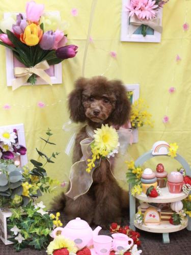 20230322りあんくん